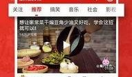 51快视频在线观看,畅享海量精彩，一键在线观看