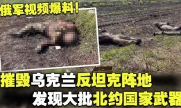 俄罗斯爆料视频,俄罗斯爆料视频揭示惊人内幕
