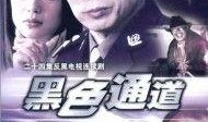 西藏警察爆料案件视频,视频揭露惊人真相